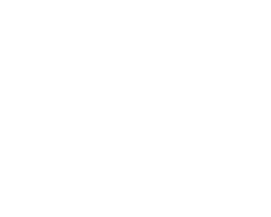 Gin District
